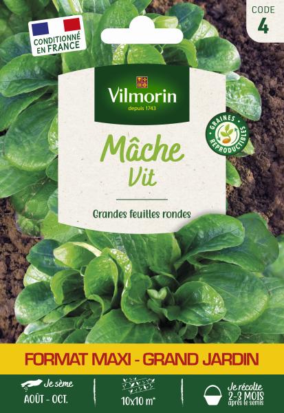 Potagères - Mâche Vit - Grand Modèle - face recto